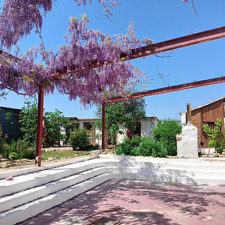 B&B Il Secolo Breve Ortona Buitenkant foto