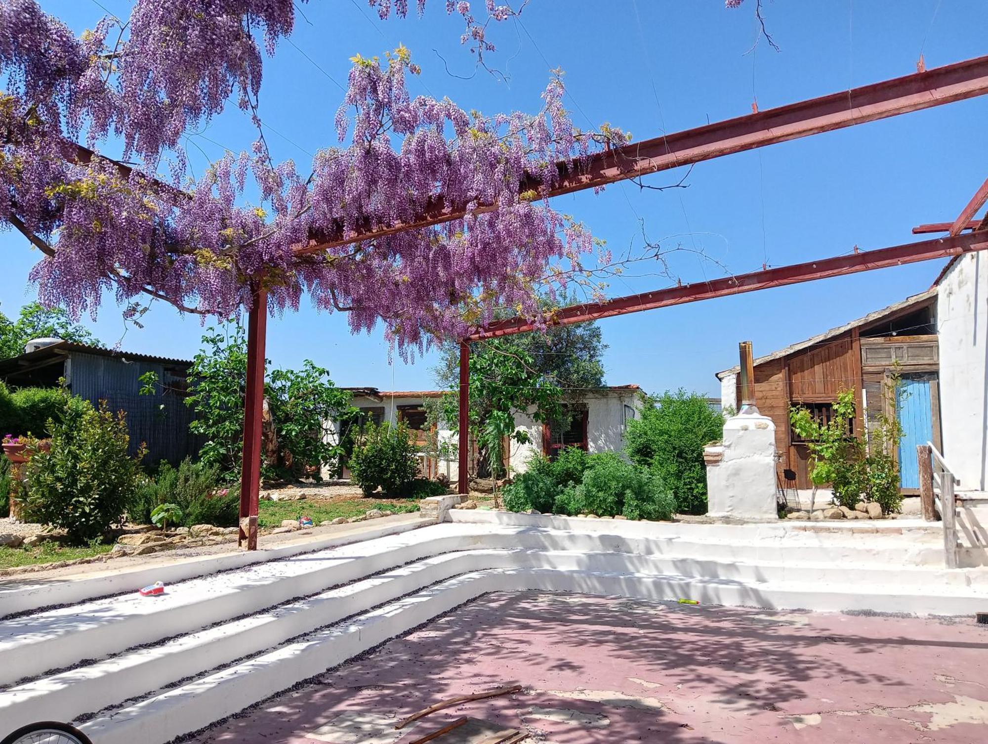 B&B Il Secolo Breve Ortona Buitenkant foto