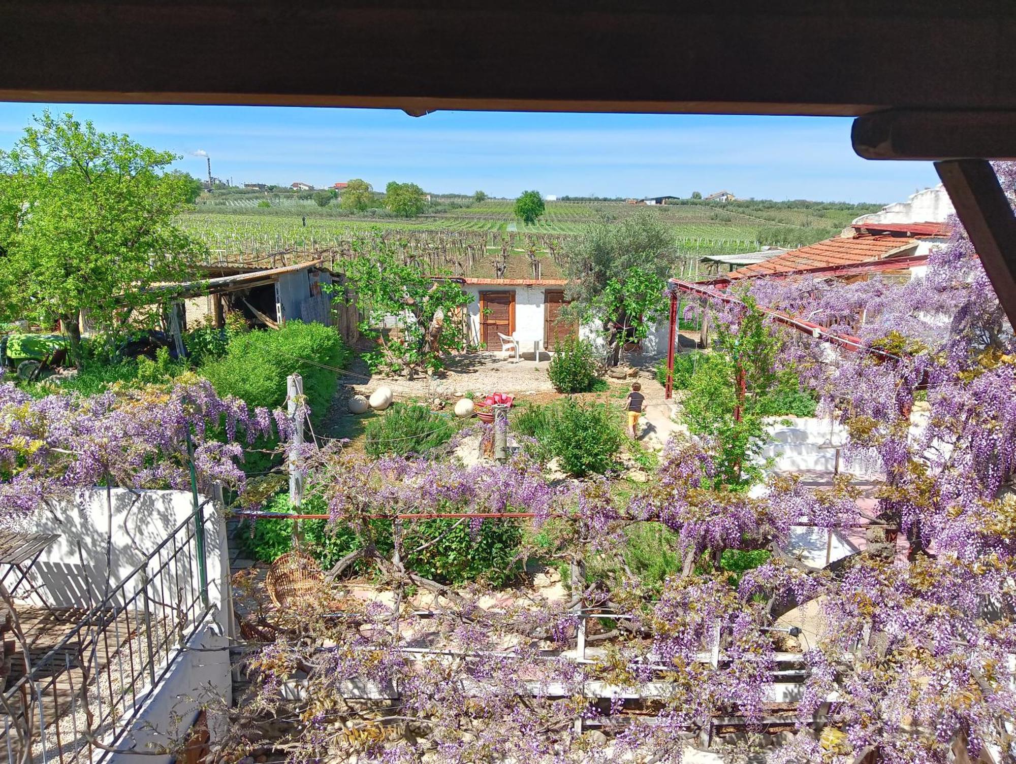 B&B Il Secolo Breve Ortona Buitenkant foto